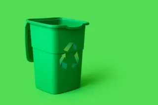 Avoid Odors & Pests with Scheduled Bin Cleaning in Fish Hawk | Complete Home Guide