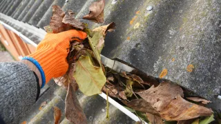 7 Signs Your Gutters Are Damaging Your Home (And What Mildura Homeowners Should Do)
