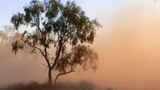 The Science of Mildura Dust: How Red Soil Composition Destroys Your Gutters Differently
