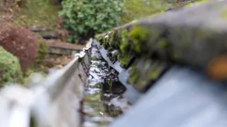 Hidden Clues in Your Gutters: How Cleaning Reveals Structural Problems in Mildura Homes