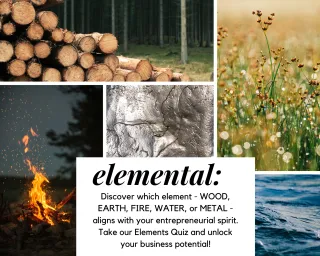 Embracing Elemental Wisdom: Discover Your Business Nature
