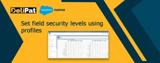 Configuring Field-level Security Using Profiles