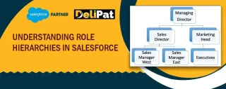 Role Hierarchy in Salesforce