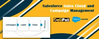 Understanding Campaign Management in Salesforce
