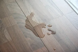 How to Protect Hardwood Floors From Damage