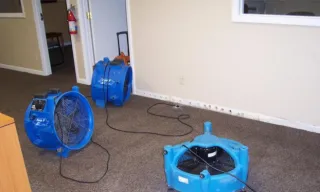 DIY Water Removal vs. Professional Services: Understanding the Pros and Cons