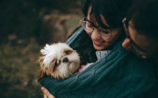Show Your Dog You Love Them