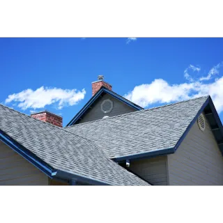 The Importance of Professional Roof Cleaning