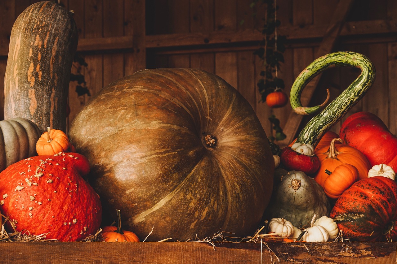 Embrace the Beauty of Autumn: Fun and Easy Fall Crafts for All Ages