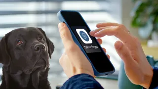What Dog Training Taught Me About Building a Trustworthy AI Chatbot for Later-Living Communities