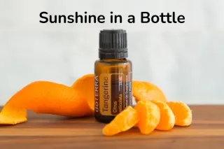 Why Use Tangerine Essential Oil?