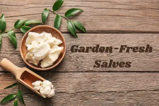 From Garden to Remedy: Homemade Salves for Skin Irritations