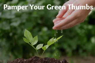 Soft Hands, Happy Gardener