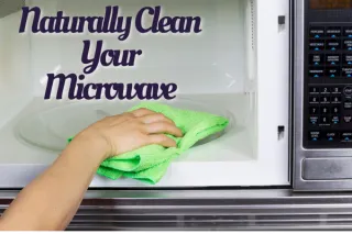 DIY Natural Microwave Cleaner