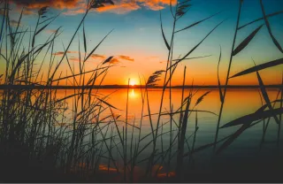 Rediscovering True Joy: Breaking Free from the Dopamine-Dynorphin Cycle