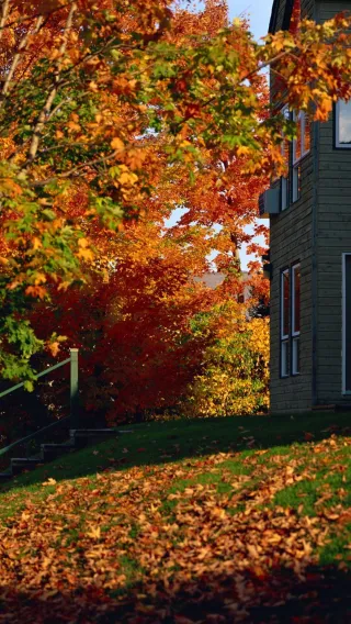 Sober October: Why Progress, Not Perfection, Leads to Freedom