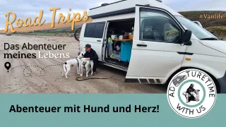 Vanlife Neubeginn: Wie ich mit zwei Hunden und einem Traum ins Abenteuer startete