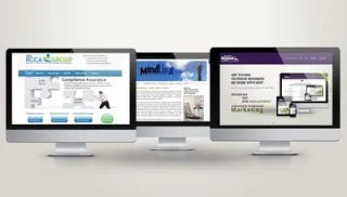 Case Study 4: Optimizing 110 Websites for Peak SEO Performance