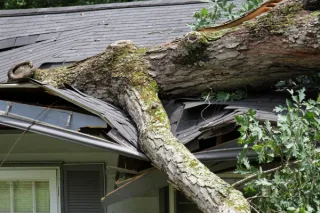 Essential Tips for Roof Repair After a Hurricane in St. Augustine, FL