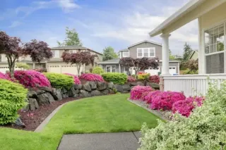 7 Must-Know Seasonal Landscaping Tips for Beautiful Yards in St. Augustine