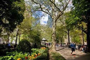 Discover Rittenhouse: Your Ultimate Guide to Philadelphia’s Premier Neighborhood