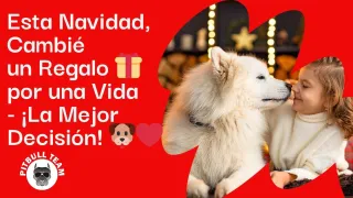  Esta Navidad, Cambié un Regalo por una Vida - ¡La Mejor Decisión! 