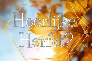 Heerlijke herfst???