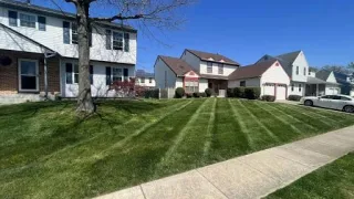 Landscaping That Adds Value and the Best Design Structure