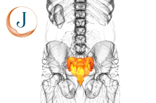 How Your Sacrum and SI Joint Impact Spine and Back Health