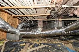 Damp Crawl Space near Will County? What Homeowners Should Know
