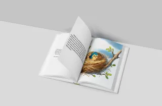 The Lessons and Theames of Avo’s Animal by Amy Hart | A Guide for Young Readers