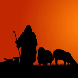Listening Prayer - Wednesday 20 December 2023 - Psalm 23 (TPT)