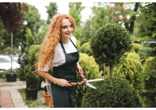 ROI: 10.75% -  Why Not Secure Your Green Card with this Profitable Lawn/Landscaping Business, Priced at $6,000,000?