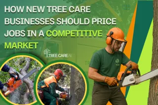 How New Tree Care Businesses Should Price Jobs in a Competitive Market