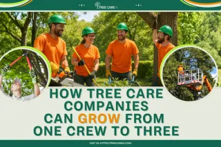 How Tree Care Companies Can Grow from One Crew to Three