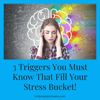 3 Triggers You Must Know That Fill Your Stress Bucket!