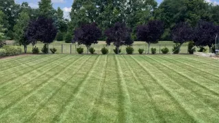 Why Hiring A Professional Landscaper Ensures Project Success