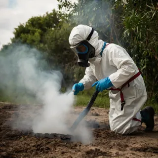 Prevención de Plagas en Escuelas Primarias de General Escobedo, CP 66066: Protegiendo a los Estudiantes con Máximo Fumigaciones