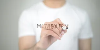 Metabolism Controls More Than Weight—Here’s What You Didn’t Know