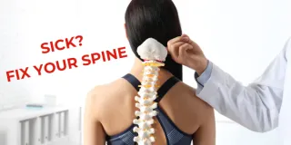 Why Spinal Health Is Key to a Strong Immune System