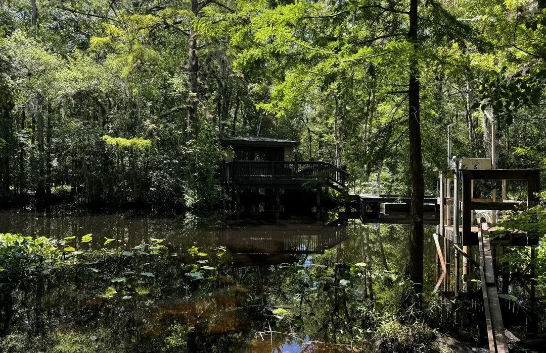 🌿Trail Magic & Wildlife Vibes: Why Julington Durbin Creek Nature Preserve Is the Ultimate North Florida Escape