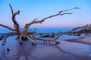 🏝️ Discover Paradise at Little Talbot Island State Park – Jacksonville’s Coastal Gem