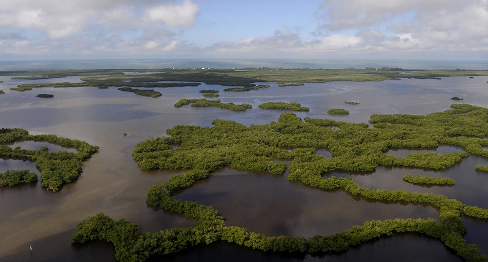 🌊 Wild Coastlines, Hidden Trails, and Pure Florida Nature — Guana Tolomato Matanzas National Estuarine Research Reserve, Northeast Florida