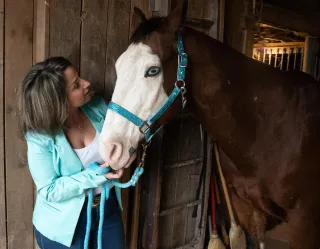 Equine Insurance