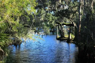 Shingle Creek Park: Nature’s Playground in the Heart of Kissimmee
