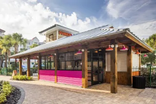Sippin’ on Sunshine: Dunkin’ Delights in Orlando, FL