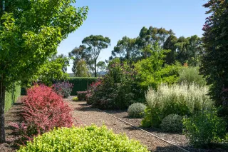 🪴Winter Garden Plans to Prepare for a Blooming Spring in Victoria