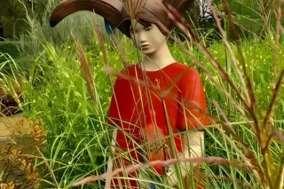 Our Open Garden Weekend at Mollingghip: A Preview of the Upcoming Event