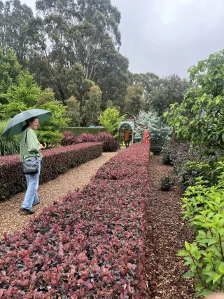 Reflections on Our Open Garden Event