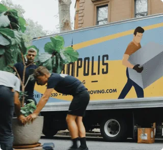 Smoove Move Logistics Phoenix: 